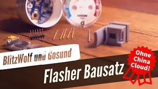 Flasher Bausatz für BlitzWolf / Gosund (2300W 10A und 3450W 15A)  - Smarthome Tasmota flashen easy!