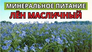 Схема питания для льна масличного. Внесение минеральных удобрений и листовых подкормок.