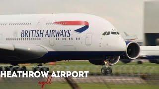 Heathrow Airport Live  - EGLL-LHR -  16th November 2024