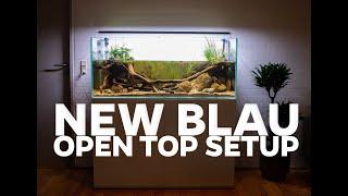 Mexican Biotope Aquarium AND Paludarium!!