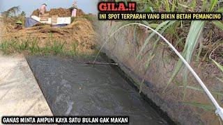 BENAR² SERU.!! MANCING LELE LOKAL DI IRIGASI TENGAH SAWAH DAPAT BANYAK || STRIKE SAMPAI PUAS BRO