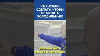 ПРОСТЫЕ СОВЕТЫ, чтобы не менять холодильник годами от Дениса Сорокина (ген.дир Ленремонта)