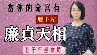 廉貞雙主星組合｜當你的命宮有廉貞天相｜廉相子午坐命｜不同年生的差異特色｜紫微斗數️