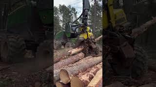 “Next-Level Logging:Harvester H425 in Action” #forest #lumberjack #johndeere #logging #harvester