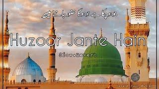 Jo Ho Chuka Hai Jo Hoga Huzoor Jante Hain || Naat Shareef  - Slow+Reverb -