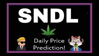 SUNDIAL STOCK PRICE PREDICTION! Sndl Analysis (Update) 2021