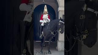 LOVELY TOURISTS With the KINGS Guard 