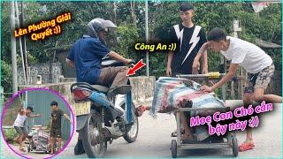 Hoàng Em Troll Giả Chó Chó C.ắ.n Người Đi Đường Cực Hài