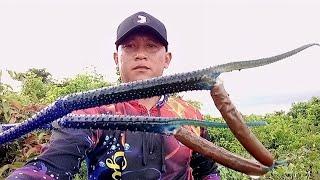 OH MY GOD IT'S SO BIG!! MONSTER PRAWN FROM THE MOON RIVER SUCCESSFULLY Caught - SHRIMP FISHING