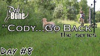 "Cody...Go Back": Teaching a Gun Dog hand signals | Day 8