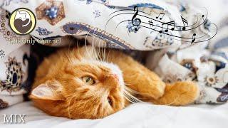 Calming Music for Nervous Cats - Stress Relief, Deep Sleep, Relaxation Music