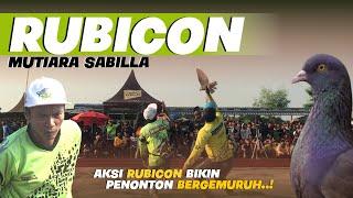 AKSI " RUBICON " BIKIN PENONTON BERGEMURUH EVENT NEW AYLA ABIMANYU CUP LAPAK NEW LUPUZ TEGAL