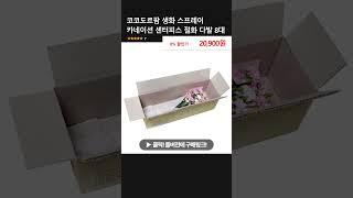 코코도르팜 생화 스프레이 카네이션 센터피스 절화 다발 8대