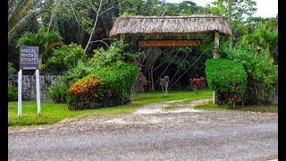 Investment Opportunity in Belize at Macal River Estates