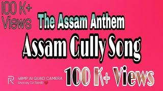 The Assam Anthem | TJ CREATION | Assam Hindi rap song | This Is Assam Song |The Assam Anthem Is Here