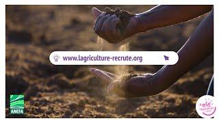 L'agriculture recrute avec l'ANEFA !