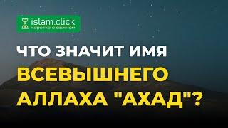 Что значит имя Всевышнего Аллаха "Ахад"? | Абу Яхья Крымский | Фрагмент из передачи «Ключ счастья»