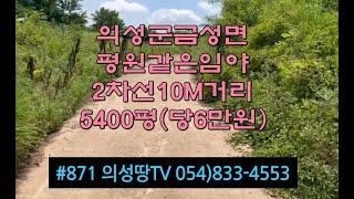 #871 의성땅TV 2차선 100M거리 포장도로연결 평평한 임야 5400평 3.25억 (당6만원) 전기가능 파크골프장 글램핌장 수목식재 경작용개간등 #의성땅#의성임야#나만의세상