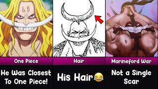 15 Interesting Facts About Whitebeard You Should Know - One PIece