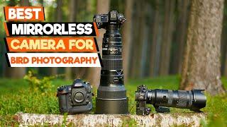 Birding on a Budget? Best AFFORDABLE Mirrorless Cameras for Bird Photography