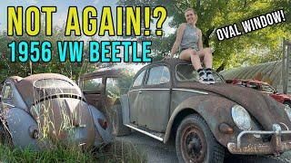 Saving a 1956 VW Oval Window Beetle from the World Famous Hot Rod Farm