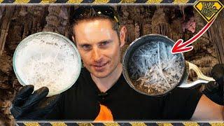 Growing NITRATE Crystals! TKOR Dives Into How To Make a Powder with BOOM! Properties.