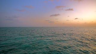 Ocean 4K Ultra HD  Ocean Waves on a Tropical Island in Maldives