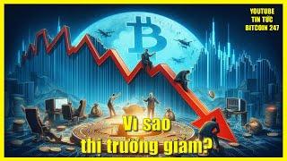 Nguyên nhân khiến Bitcoin giảm xuống 92K, tình hình các Altcoin hiện tại