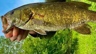 MAJOR 2024 fishing goal reached! THIS Smallmouth bass did it!