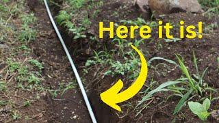 Installing an Underground Access Line for a Permanent Electric Sheep Fence