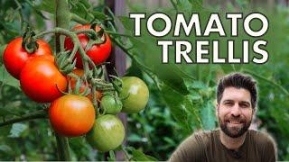 How to Build The BEST Tomato Trellis!