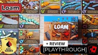Solo Playthrough + Review | Loam