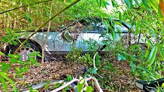 The Unfortunate Truth of Abandoned Cars in Japan