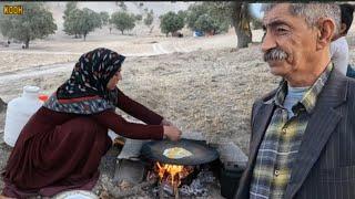 #family #love - Mahrekh and Jalal take the family for a picnic, continue a project