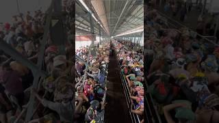 Sabarimala Sannidhanam queue - Today | Batasari Travel Tales