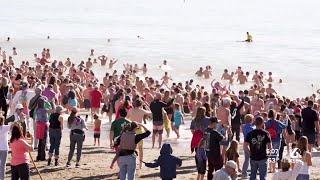 Celebrating the new year at the Avila Beach Polar Bear Plunge