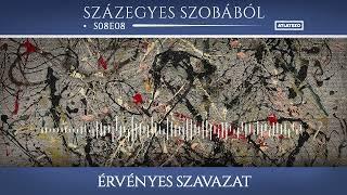 Érvényes szavazat – s08e08