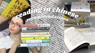 reading in chinese: chinese books for beginners & advanced, my recommendations and book collection 