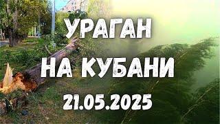 Ураган в Краснодарском крае! Шквалистый ветер повалил деревья, порвал электропровода