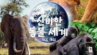 BBC Earth  신비한 동물 세계 퀴즈 게임 | 맛보기 문제 4번