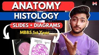 Anatomy Histology Slides  With Diagrams & Features | MBBS 1st Year | Microscopic Slides