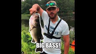 MONSTER Bass in small POND! (NH Series Part 2)