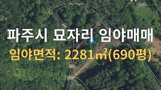 명당부동산91)파주시 묘자리 임야매매