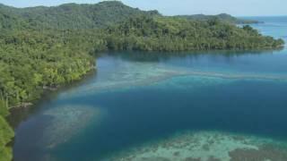 Wild New Britain: Papua New Guinea