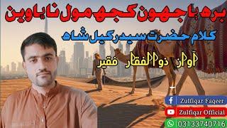 Birah Bajhaon | Sufi Song Sindhi | Zulfiqar Official | Official Video | Sindhi Song