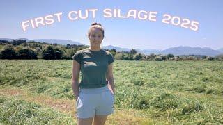 A SHOCKING RETURN ON FIRST CUT SILAGE