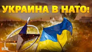 Украина в НАТО! Вашингтон принял РЕШЕНИЕ: названы условия