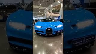 Bugatti_Lamborghini_Ferrari cars Collection Shorts /status by Amazing Cars 4U