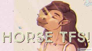 【𝐑𝐄𝐐𝐔𝐄𝐒𝐓𝐄𝐃! :𝟑】|  Horse TFs / Equine TF TGs  |  𝐩𝐚𝐫𝐭 𝟐!  