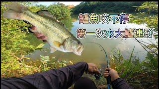 超好釣野場 第一次就中大魚